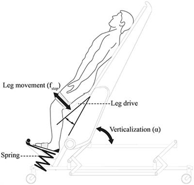 Distinctive Steady-State Heart Rate and Blood Pressure Responses to Passive Robotic Leg Exercise during Head-Up Tilt: A Pilot Study in Neurological Patients